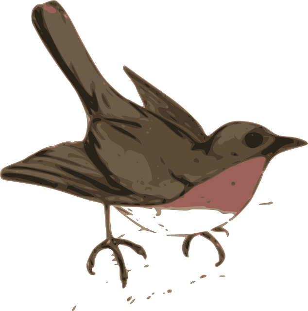 Free download Robin Bird Brown - Free vector graphic on Pixabay free illustration to be edited with GIMP free online image editor