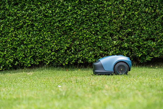 Free download robot lawnmower lawn yard grass free picture to be edited with GIMP free online image editor