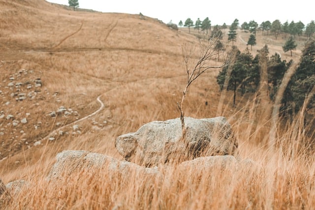 Free download rock trees hill mountains free picture to be edited with GIMP free online image editor