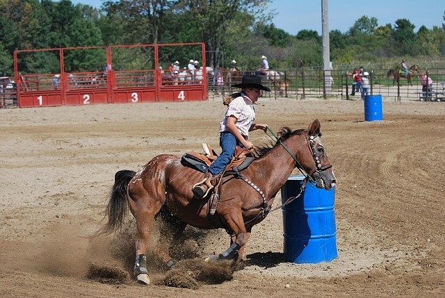 Free download Rodeo Barrel Racing Cowgirl -  free photo or picture to be edited with GIMP online image editor