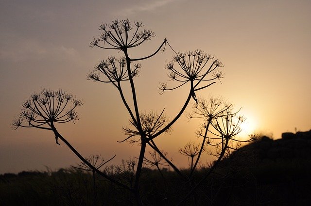 Free download Romance Abendstimmung Evening Sky -  free photo or picture to be edited with GIMP online image editor