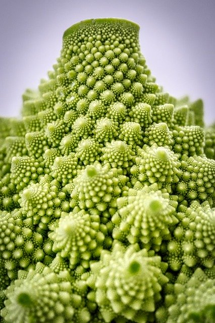 Free download Romanesco Cauliflower Vegetables -  free photo or picture to be edited with GIMP online image editor