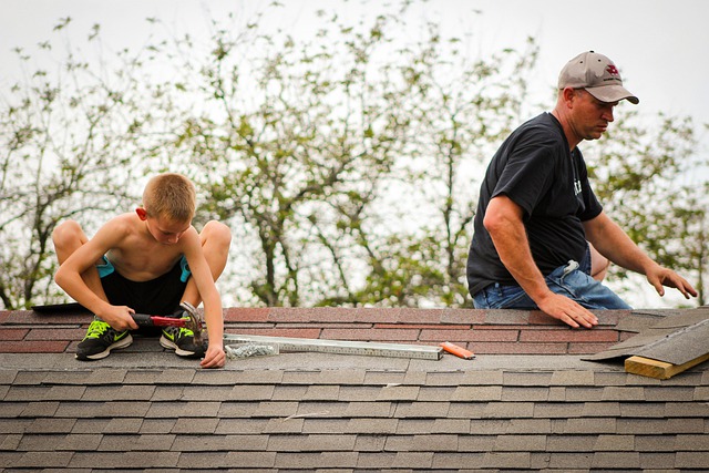 Free download roofing father son family roof free picture to be edited with GIMP free online image editor