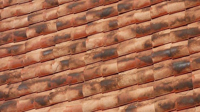 Free download Roof Tiles -  free photo or picture to be edited with GIMP online image editor