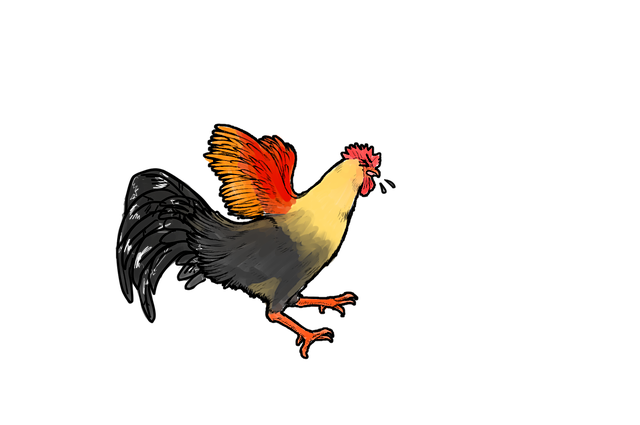 Free download Rooster Cock Hen -  free illustration to be edited with GIMP free online image editor