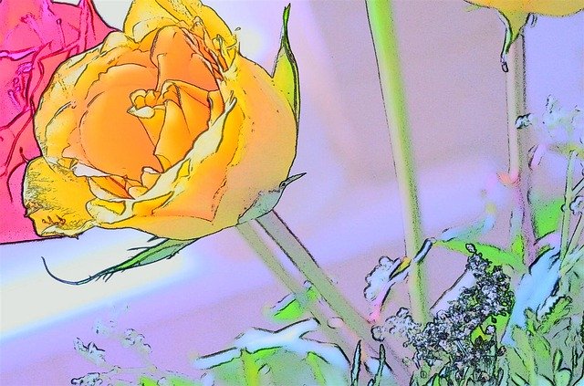 Free download Rosa Yellow -  free illustration to be edited with GIMP free online image editor