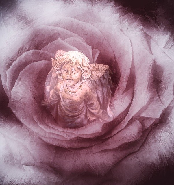 Free download Rose Angel Cherub -  free illustration to be edited with GIMP free online image editor