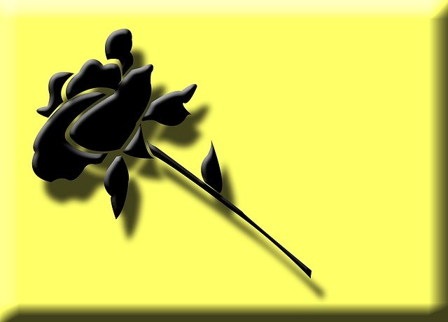 Free download Rose Black Flower -  free illustration to be edited with GIMP free online image editor