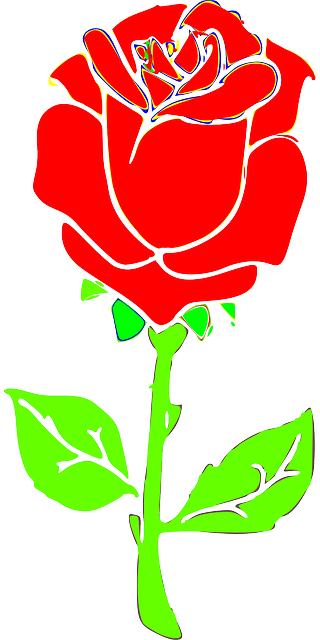 Free download Rose Flower Blossom - Free vector graphic on Pixabay free illustration to be edited with GIMP free online image editor