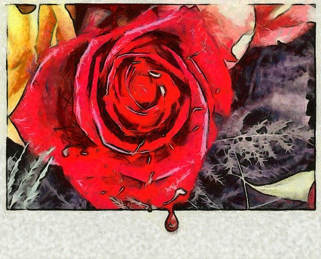 Free download Rose Flowers Cry -  free illustration to be edited with GIMP free online image editor