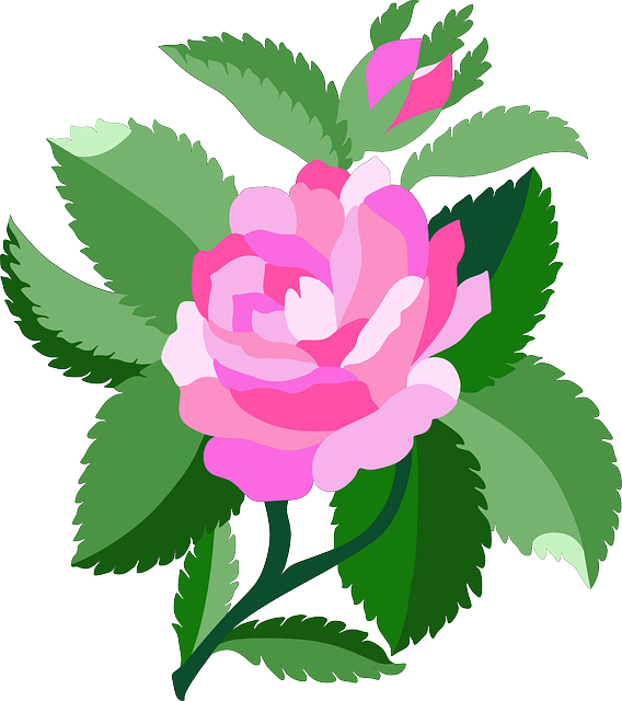 Free download Rose Plant Bloom - Free vector graphic on Pixabay free illustration to be edited with GIMP free online image editor