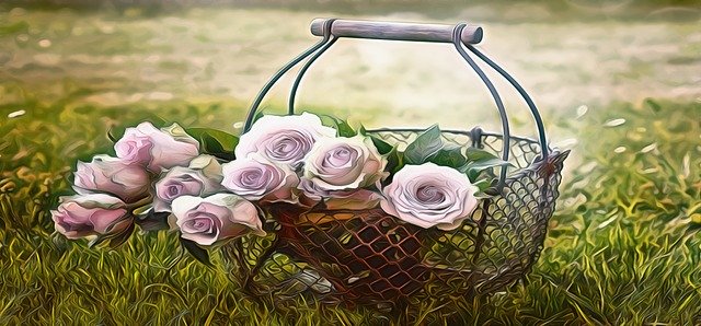 Free download Roses Flowers Basket -  free illustration to be edited with GIMP free online image editor