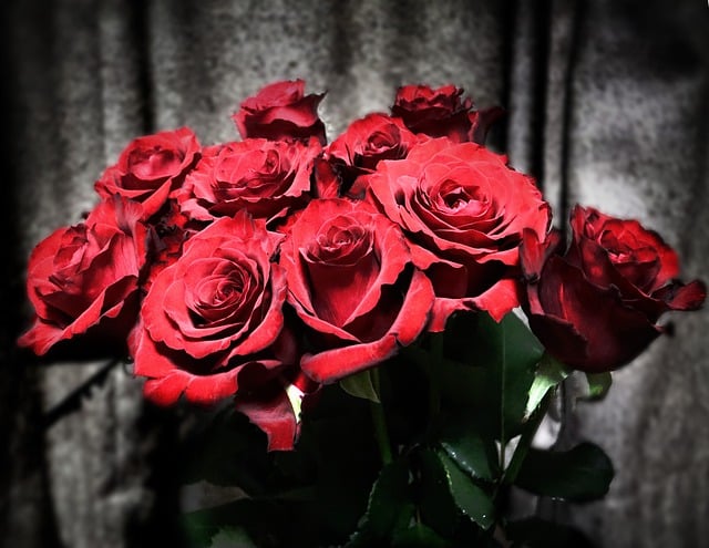 Free download roses flowers decoration red roses free picture to be edited with GIMP free online image editor