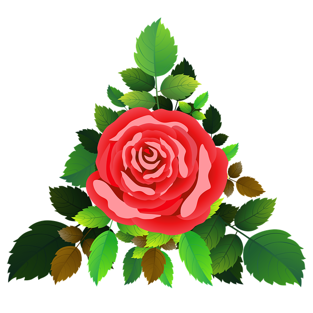 Free download Roses Flowers Floral -  free illustration to be edited with GIMP free online image editor