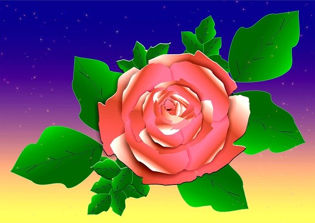 Free download Roses Freshness Color -  free illustration to be edited with GIMP free online image editor