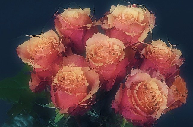 Free download Roses In Ice Frozen Romantic -  free illustration to be edited with GIMP free online image editor