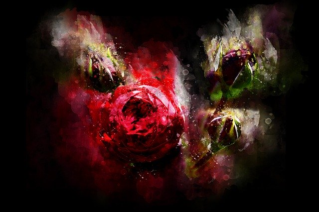 Free download Rose Watercolor Colorful -  free illustration to be edited with GIMP free online image editor