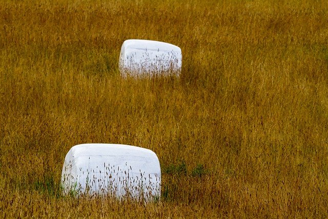 Free download round bale bale field countryside free picture to be edited with GIMP free online image editor