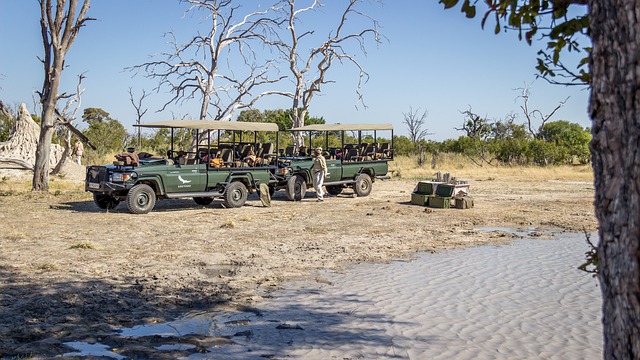 Free download safari 4x4 botswana jeep offroad free picture to be edited with GIMP free online image editor