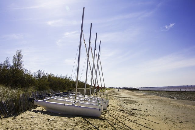 Free download sailboat sailing school regatta sea free picture to be edited with GIMP free online image editor