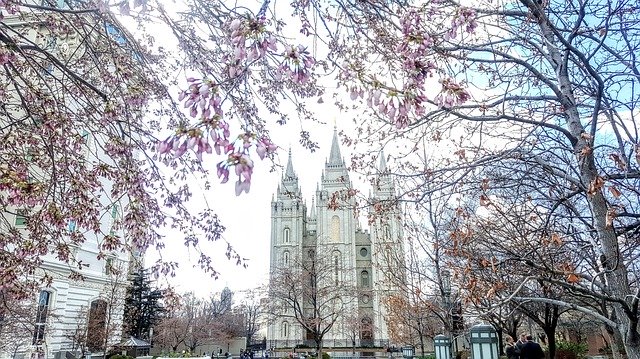 Free download Salt Lake City Temple Spring -  free photo or picture to be edited with GIMP online image editor