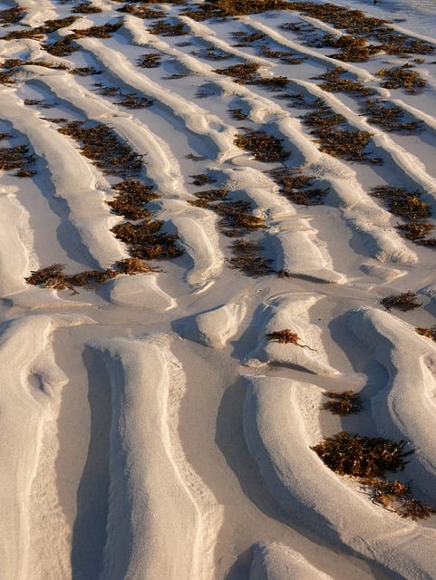 Free download sand beach sea nature free picture to be edited with GIMP free online image editor