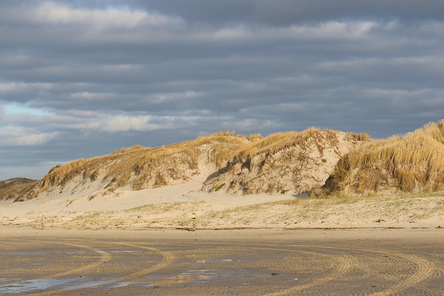 Free download sand dunes beach north sea clouds free picture to be edited with GIMP free online image editor