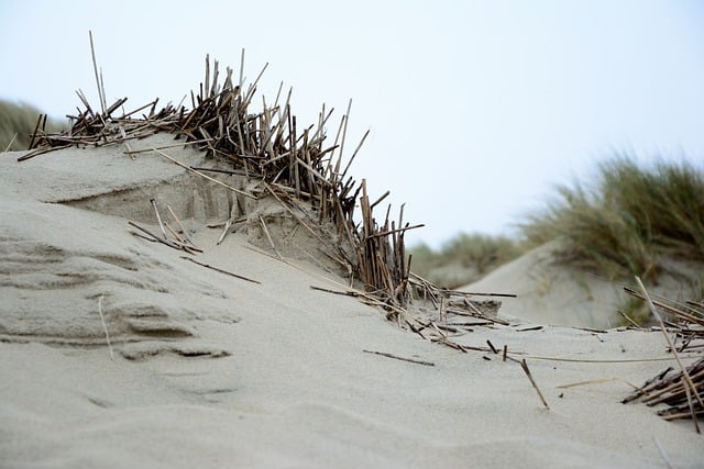 Free download sand dunes sand beach dune grass free picture to be edited with GIMP free online image editor