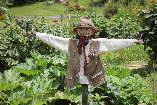 Free download Scarecrow Hobbit Movie -  free photo or picture to be edited with GIMP online image editor