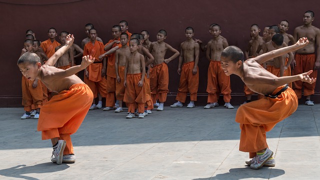 Free download schaolin monastery kung fu free picture to be edited with GIMP free online image editor