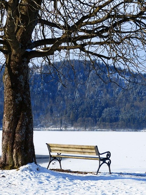 Free download Schliersee Bavaria Nature -  free photo or picture to be edited with GIMP online image editor