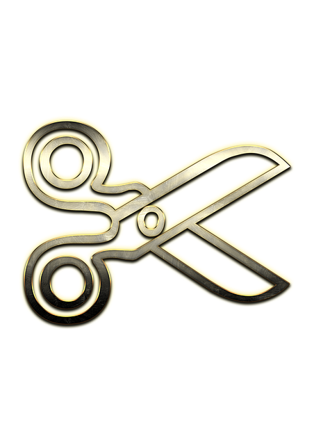 Free download Scissors Steel Metal -  free illustration to be edited with GIMP free online image editor