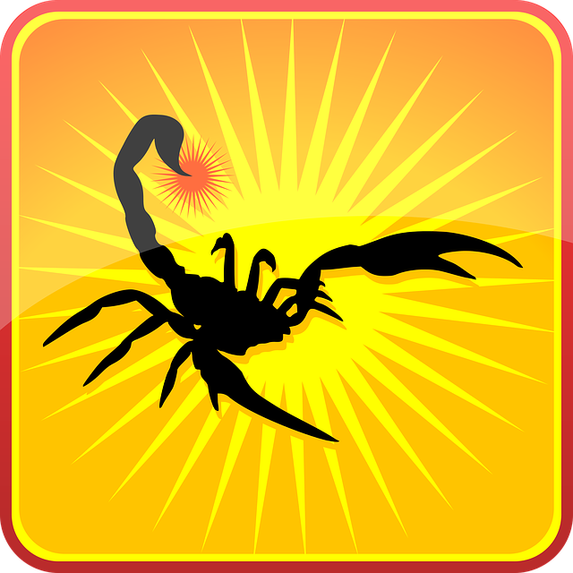 Free download Scorpion Silhouette Insects - Free vector graphic on Pixabay free illustration to be edited with GIMP free online image editor