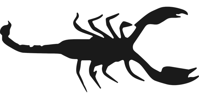 Téléchargement gratuit Scorpion Zodiaque Arachnide - Images vectorielles gratuites sur Pixabay illustration gratuite à modifier avec l'éditeur d'images en ligne gratuit GIMP