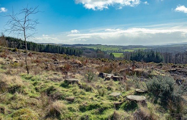 Free download Scotland Hills Landscape -  free photo or picture to be edited with GIMP online image editor