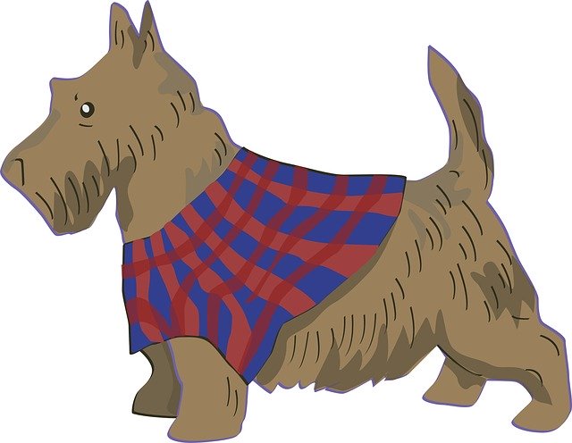 Free download Scottish Dog Pet -  free illustration to be edited with GIMP free online image editor