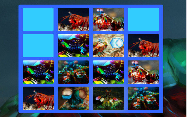 2048: Mantis Shrimp Edition  from Chrome web store to be run with OffiDocs Chromium online