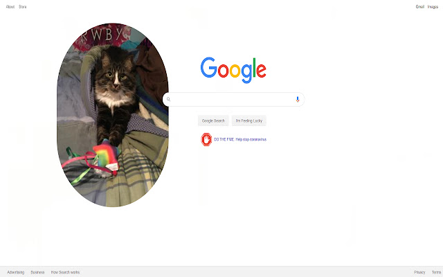 Adorable Cats  from Chrome web store to be run with OffiDocs Chromium online