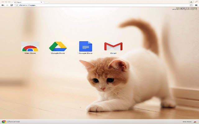 Adorable Cat Theme  from Chrome web store to be run with OffiDocs Chromium online