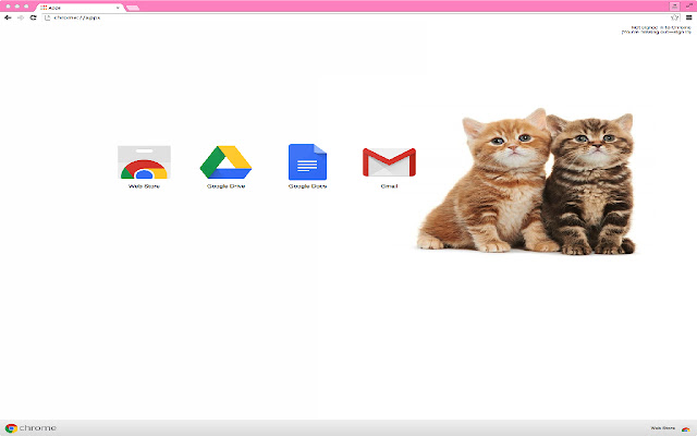 Adorable Kittens Theme  from Chrome web store to be run with OffiDocs Chromium online