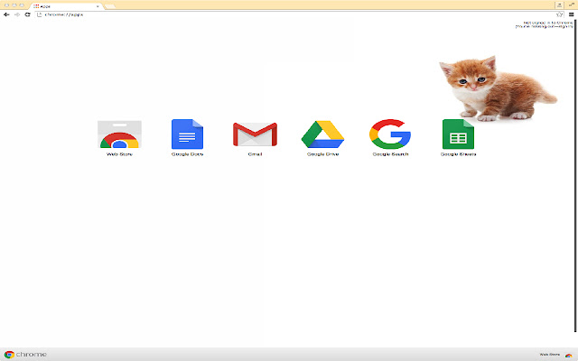 Adorable Kitten Theme  from Chrome web store to be run with OffiDocs Chromium online