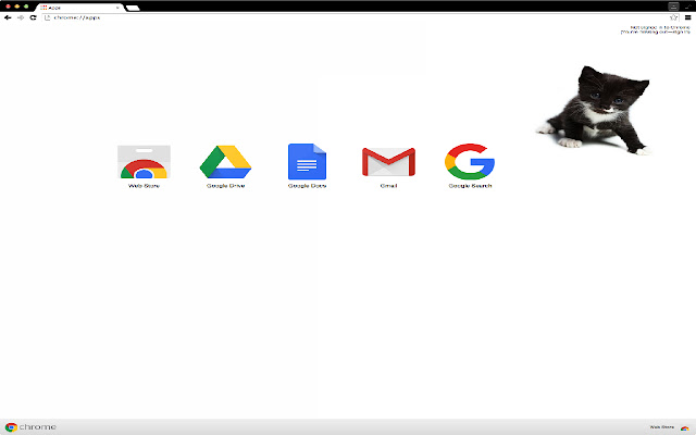 Adorable Kitten Theme 3  from Chrome web store to be run with OffiDocs Chromium online