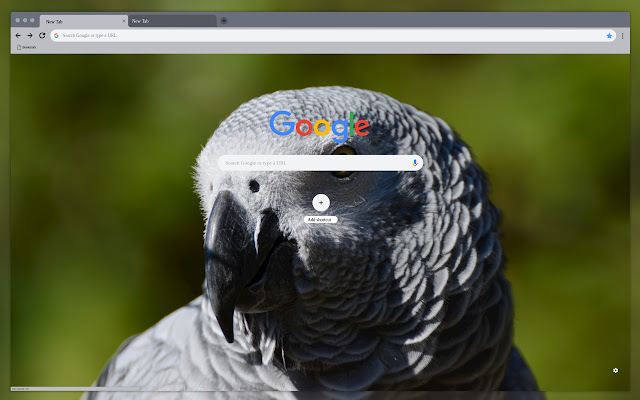 African bird  from Chrome web store to be run with OffiDocs Chromium online