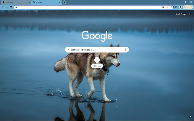 Alaskan malamute  from Chrome web store to be run with OffiDocs Chromium online