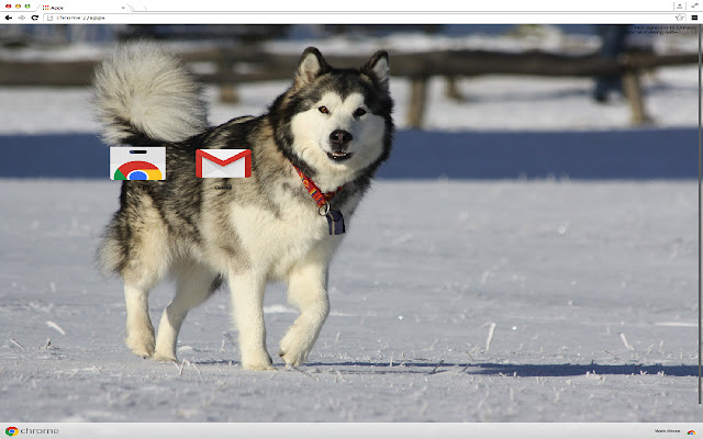 Alaskan Malamute Theme  from Chrome web store to be run with OffiDocs Chromium online