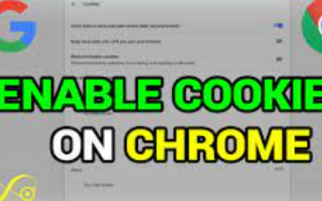 Allow third party cookies API  from Chrome web store to be run with OffiDocs Chromium online