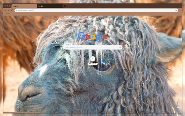 Alpaca wool  from Chrome web store to be run with OffiDocs Chromium online