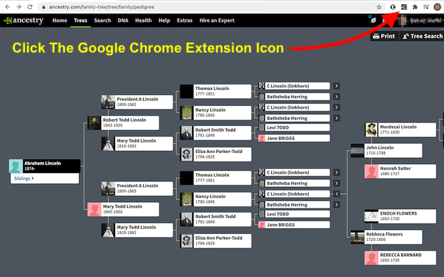 Ancestry DNA Paths (beta)  from Chrome web store to be run with OffiDocs Chromium online