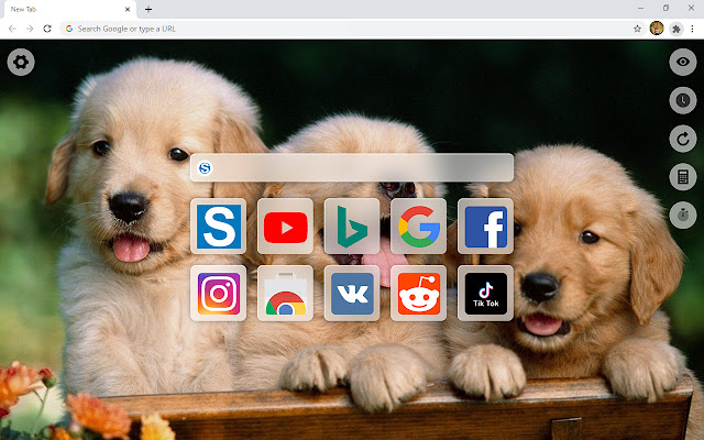 Animal Kingdom HD Wallpaper New Tab  from Chrome web store to be run with OffiDocs Chromium online
