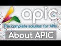 Apic Complete API solution  from Chrome web store to be run with OffiDocs Chromium online